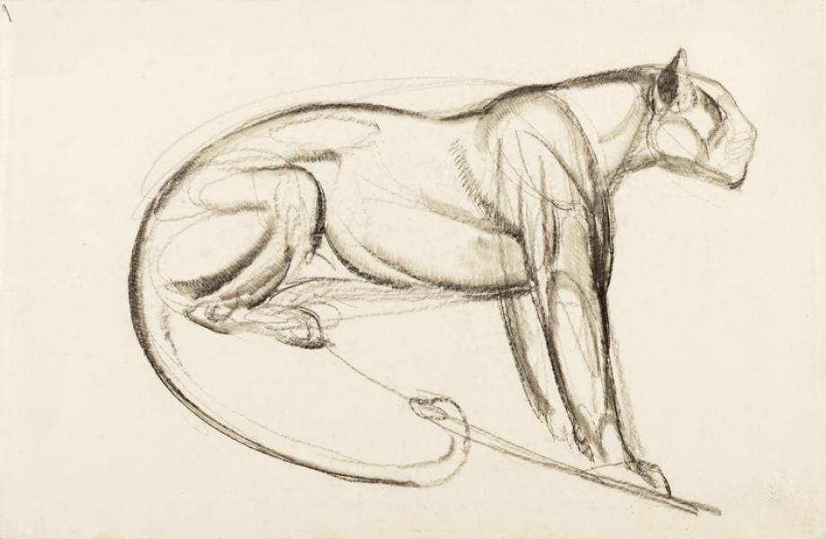 Panthère assise guettant sa proie, esquisse, circa 1920 Paul JOUVE