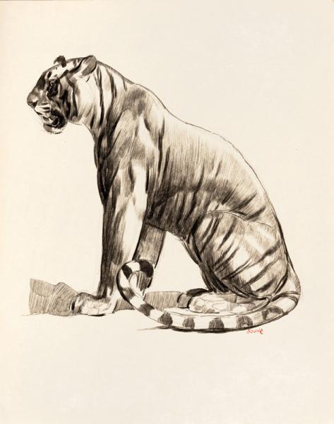 Tigre assis de profil, 1925 Paul JOUVE