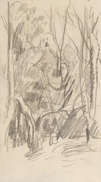 Toit au Grand-Lemps, circa 1894