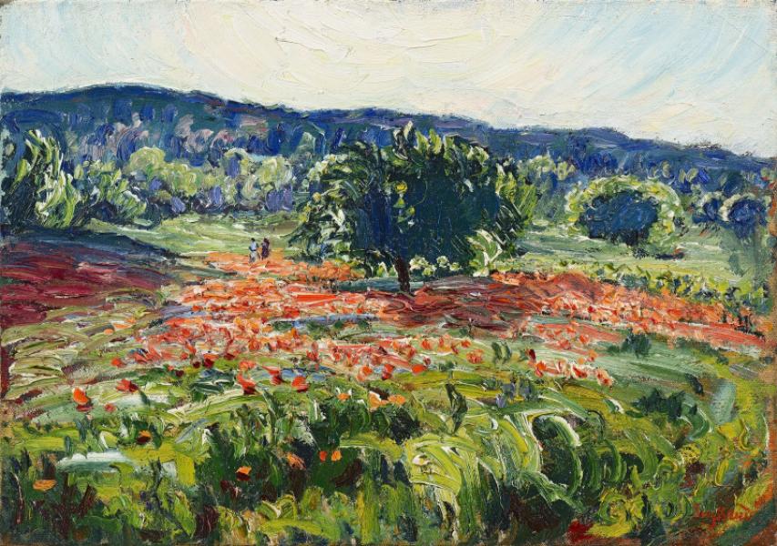 Coquelicots et cerisiers, vers 1925